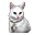 Ангорский котенок